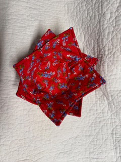 Bluebonnet Bowl Cozy (Set of 2)